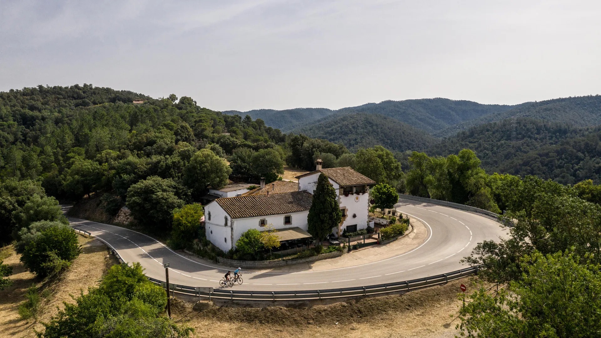 A forest road climbing through Les Gavarres
