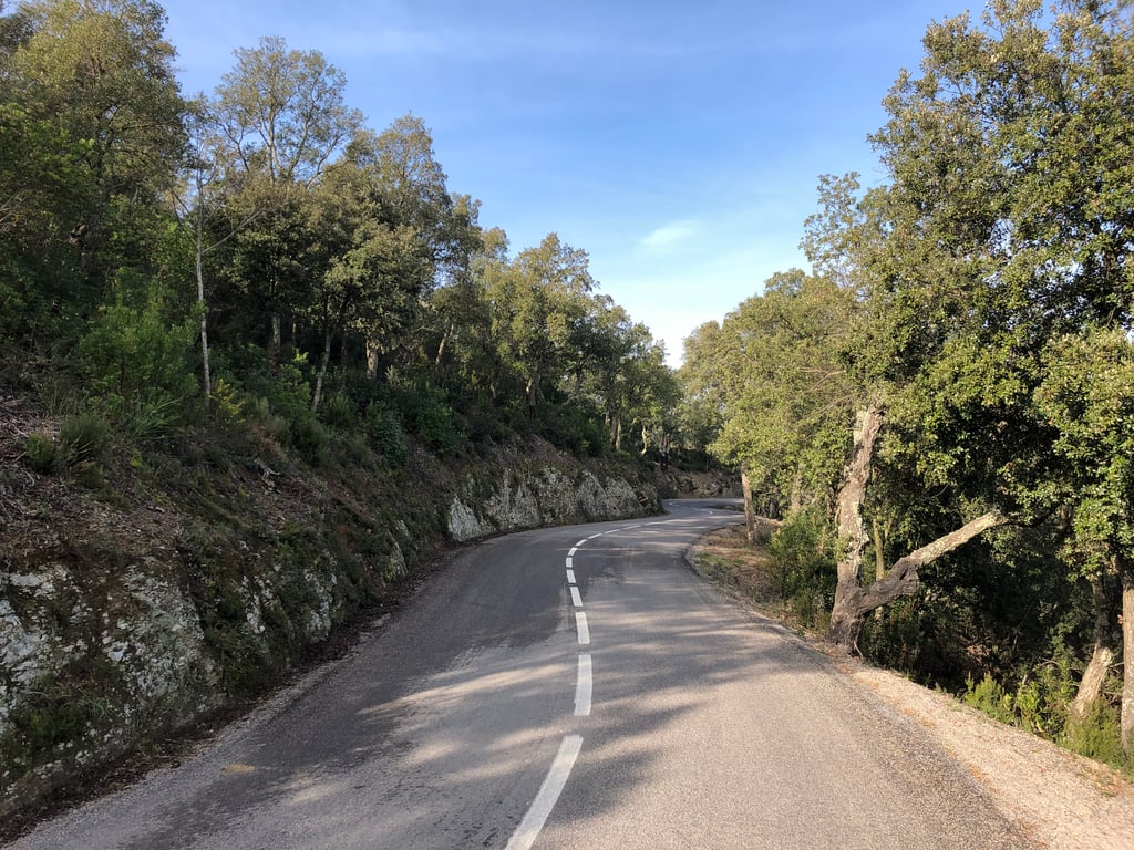 The Els Àngels road climbing through pine forest
